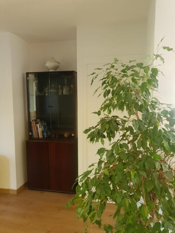 Appartement Cosy Parc Thermal Thonon-les-Bains Zewnętrze zdjęcie